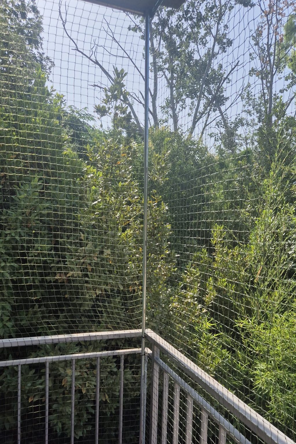 whatsapp image 2025 08 06 at 00.18.57