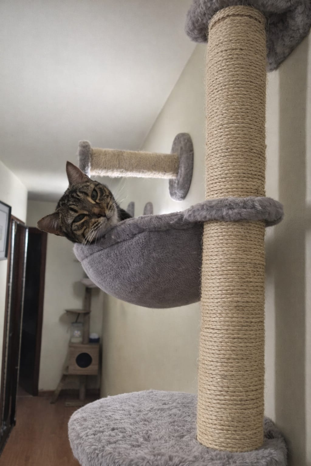 whatsapp image 2026 01 21 at 21.35.49