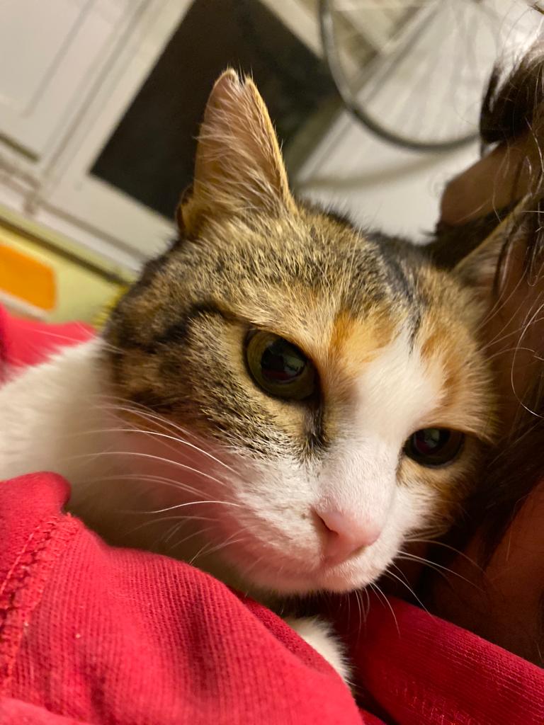 whatsapp image 2026 01 30 at 22.48.05